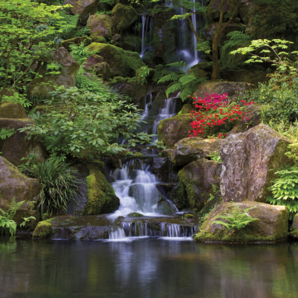 Explore The Beauty Of Portland’s Japanese Garden