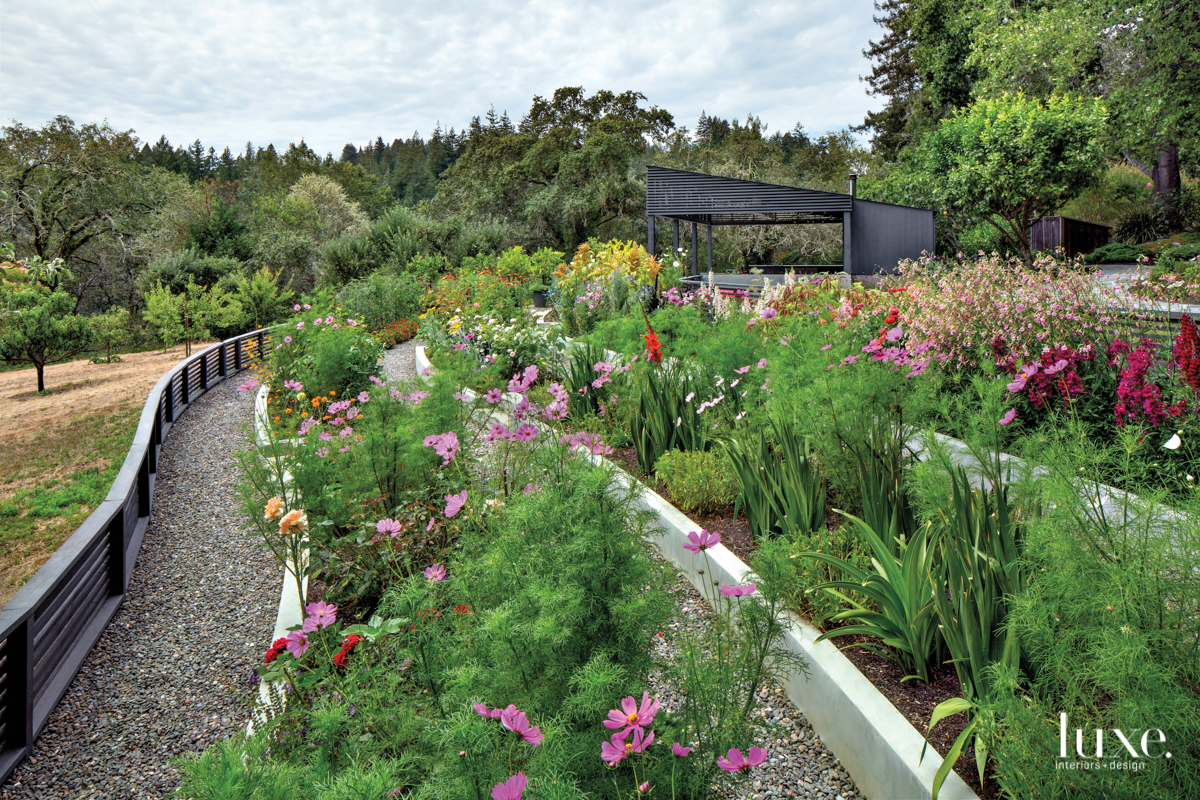 lush Sonoma County terraced garden