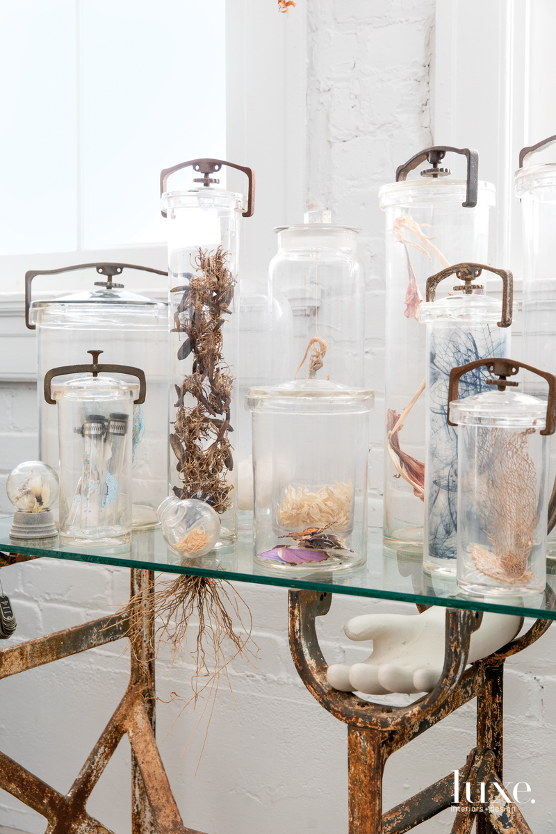 Late-19th-century specimen jars will be used for future work.