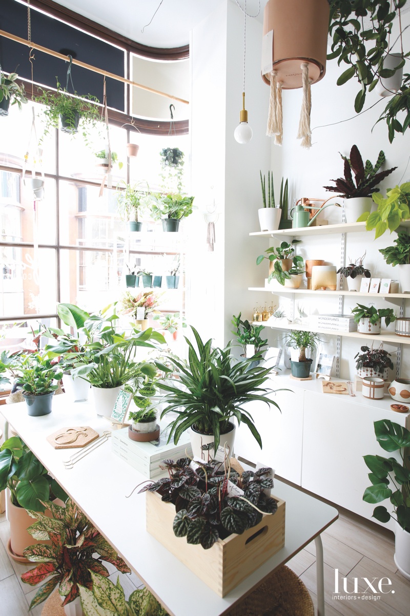 Step Inside Folia Collective’s Mini Greenhouse Shop - Luxe Interiors ...