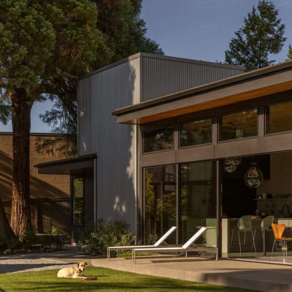 Modern home, with straight lines, dog in the vast yard.