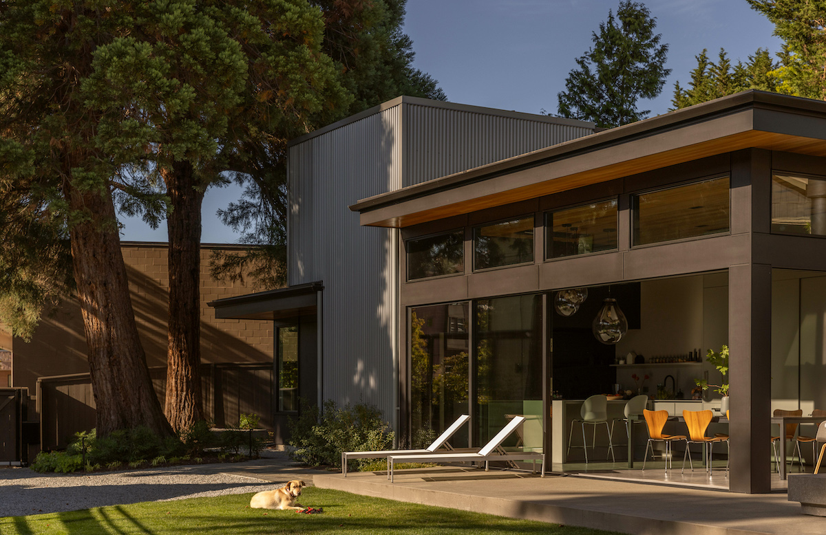 Modern home, with straight lines, dog in the vast yard.