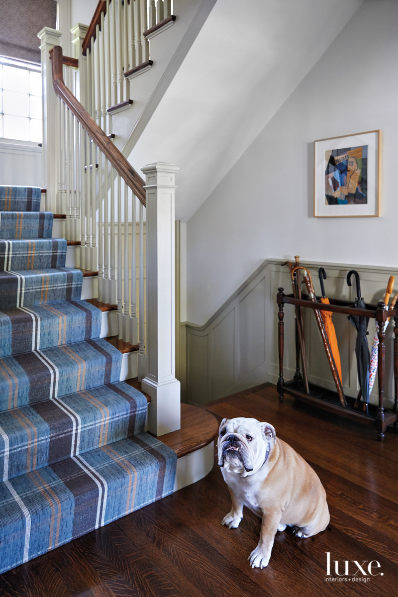 wood and white staircase with blue runner
