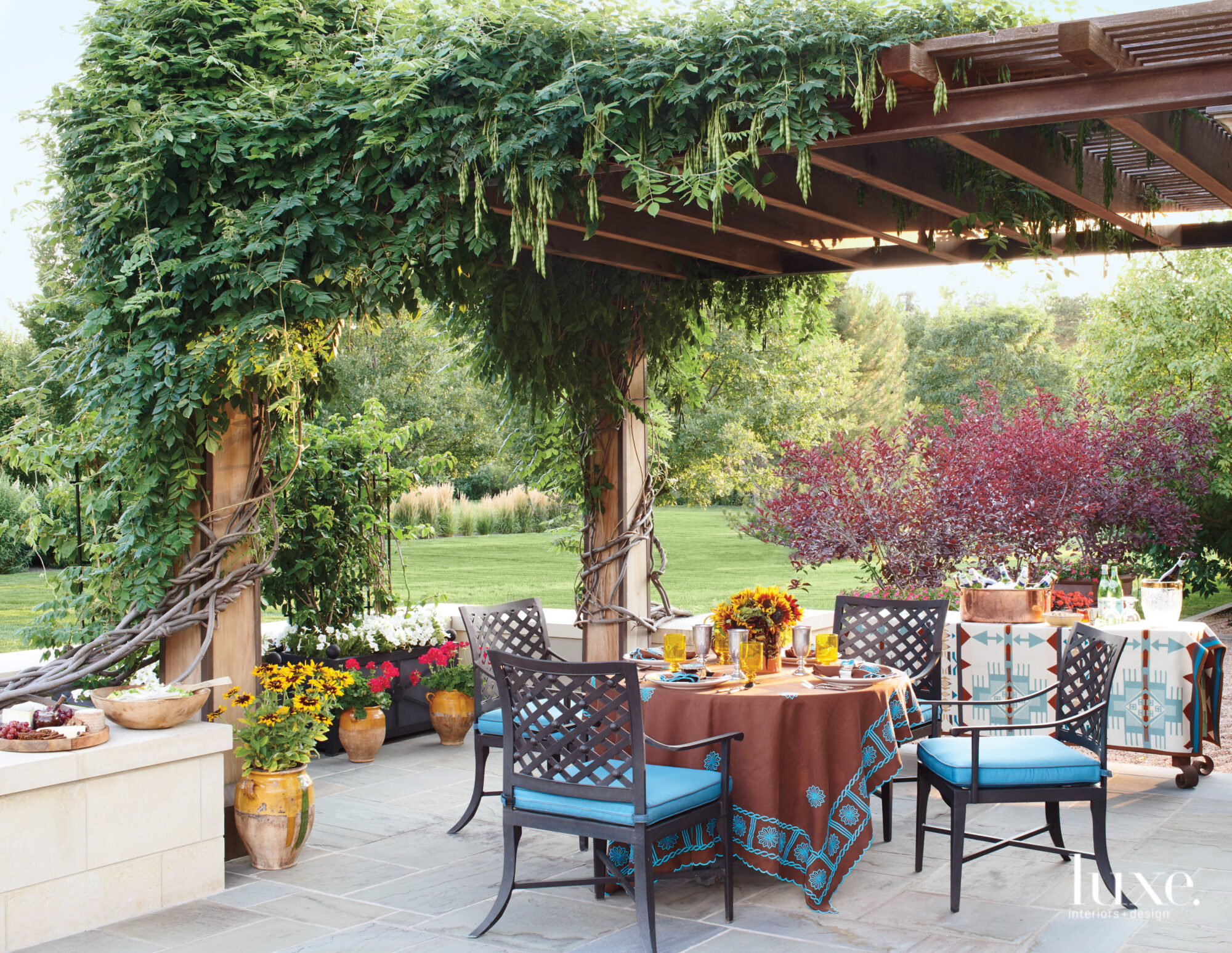 A terrace is shaded by a thick, green vine. It's outfitted with an outdoor table and chairs dressed in blue-and-brown textiles.