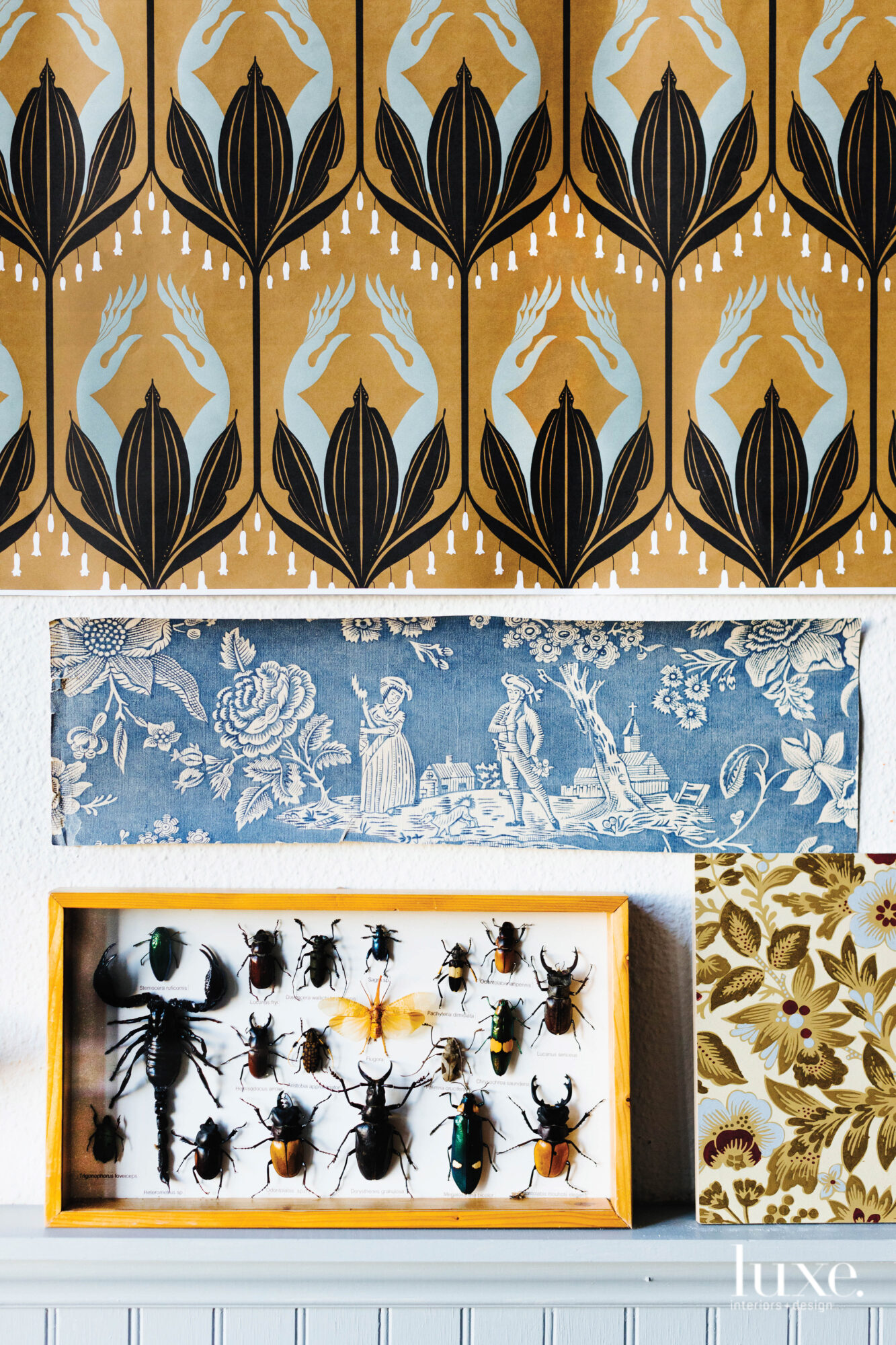 Mounted beetles, a toile pattern and a wallpaper design