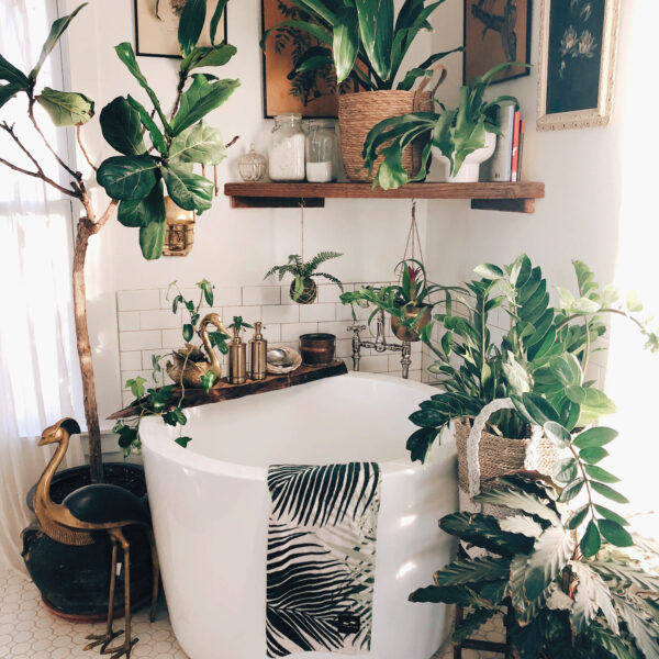 Calling All Thrifters And Plant Lovers: Vine And Vintage’s Instagram Is For You