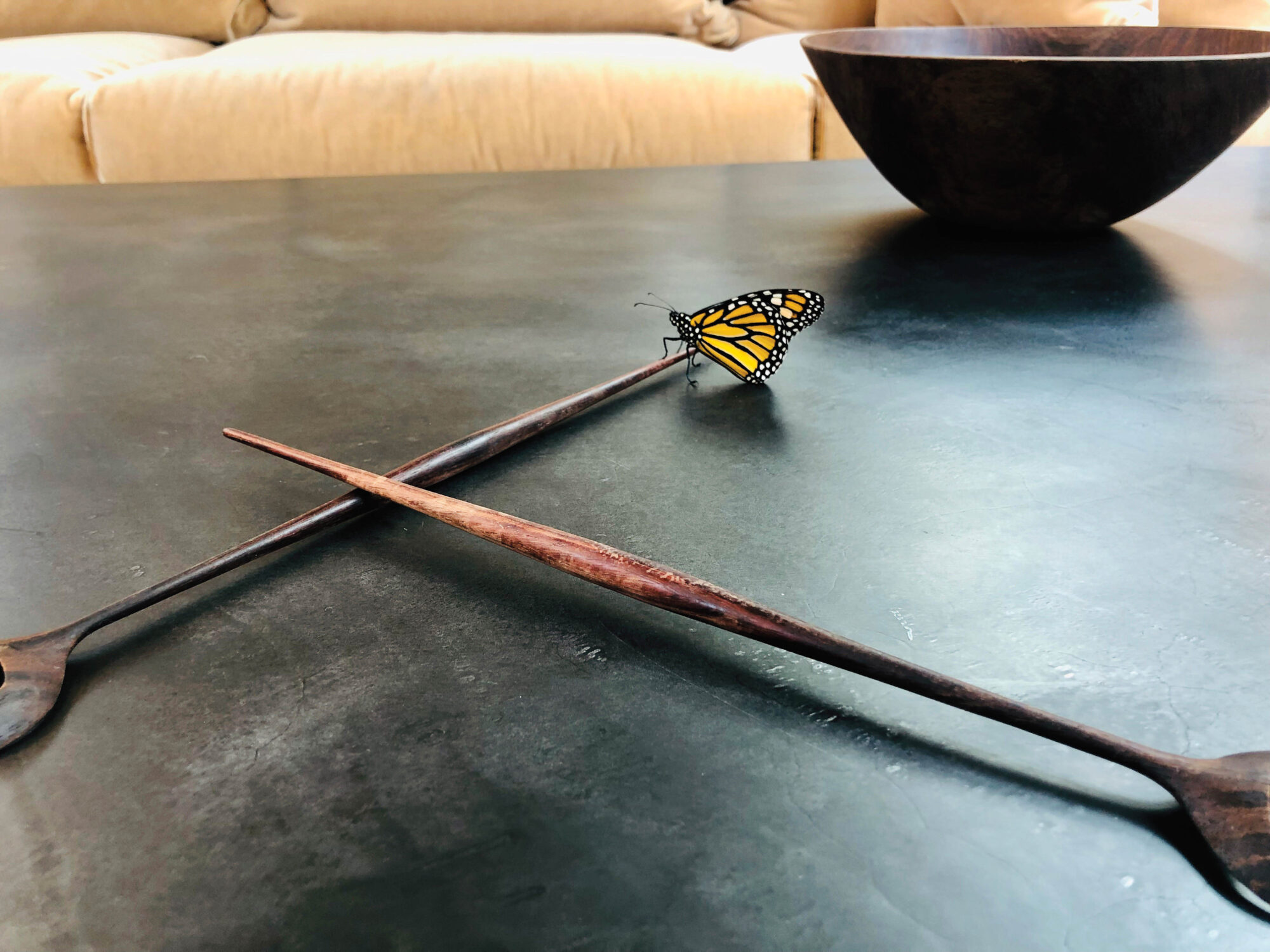 A butterfly sits atop a piece of furniture