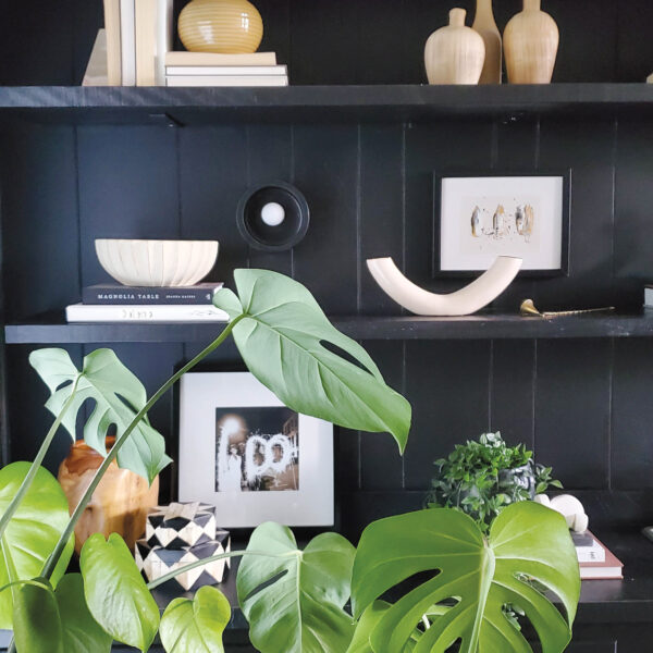 Black bookshelf with pale objects and green plant