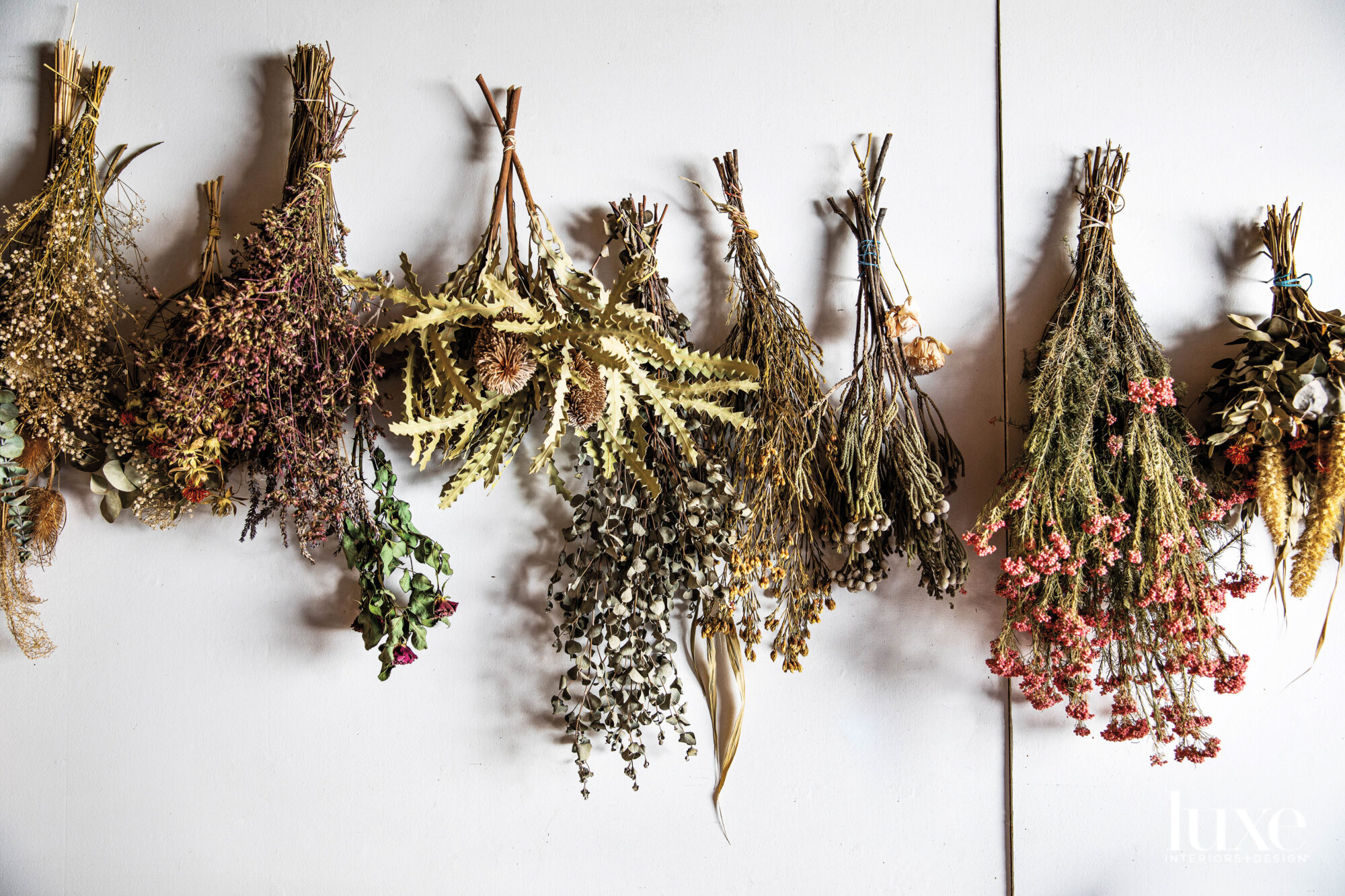 Dried flowers hanging from a wall