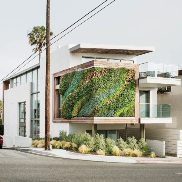 Habitat Horticulture’s Wondrous Walls Have Admirers Seeing Green