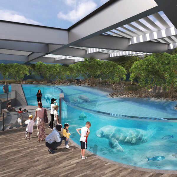 The Details Behind The Fresh Design Of Sarasota’s New Aquarium