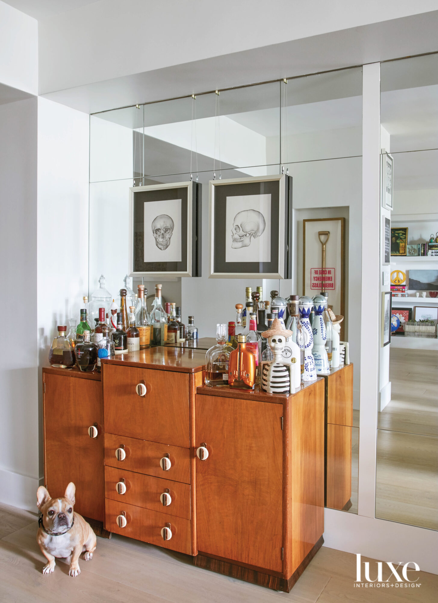 bar with wood cabinet, mirrored wall and French bulldog