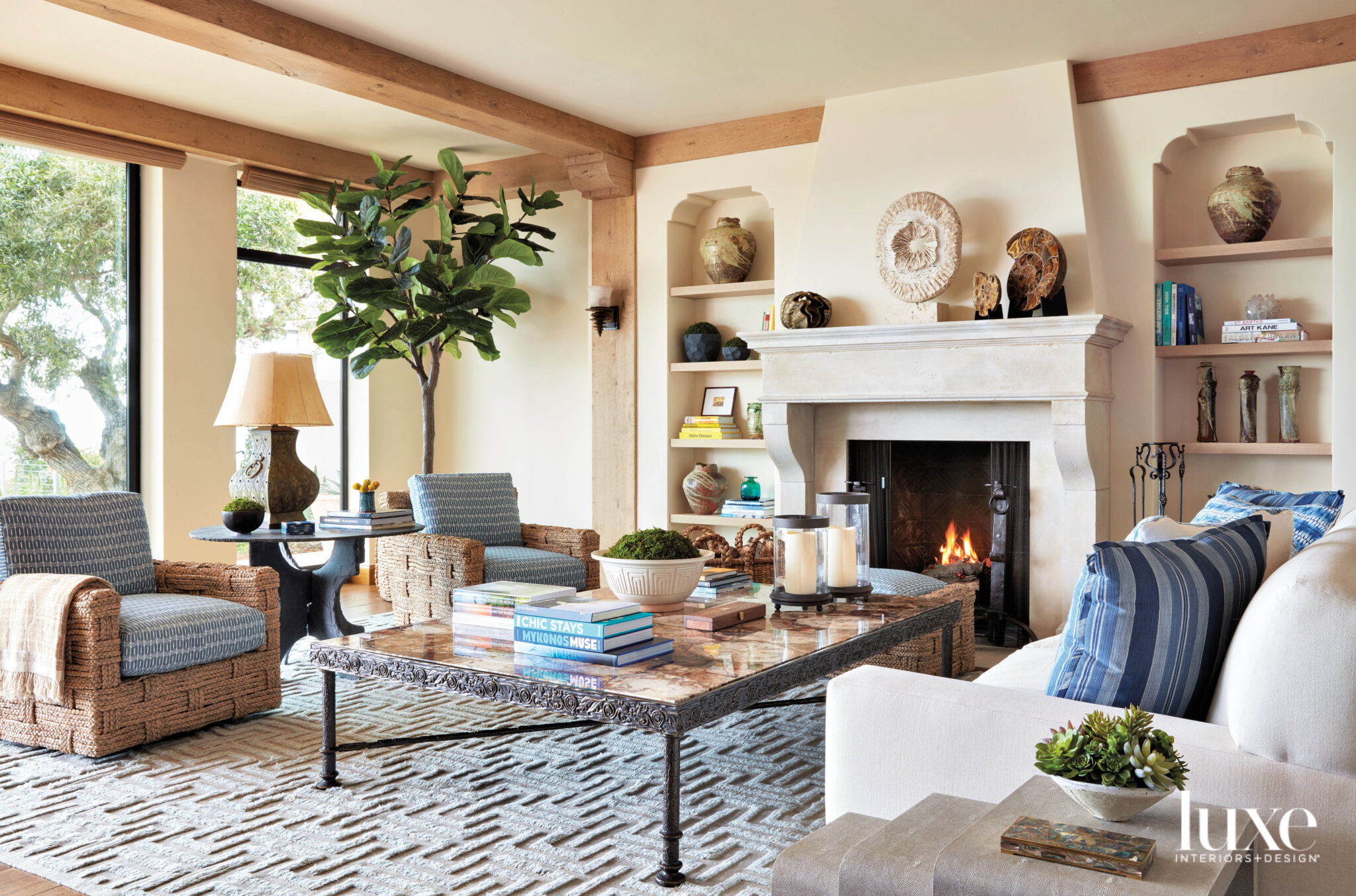 organic modern style living room