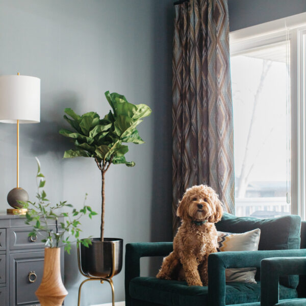 Scroll This Feed For Eclectic Interiors (With A Cute Animal Or Two)
