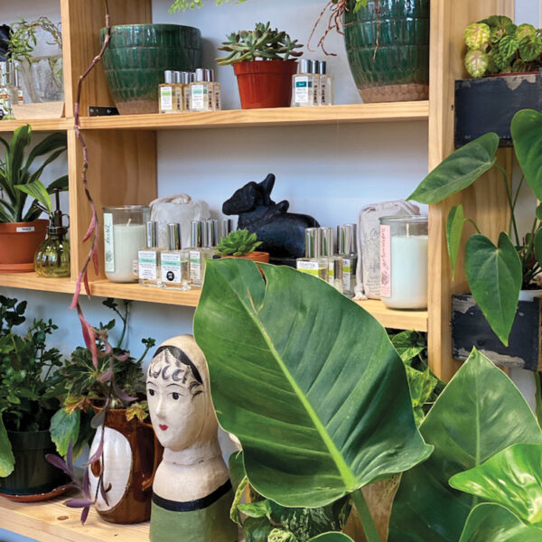 Plant Lovers: Add This Colorado Shop To Your Must-Visit List