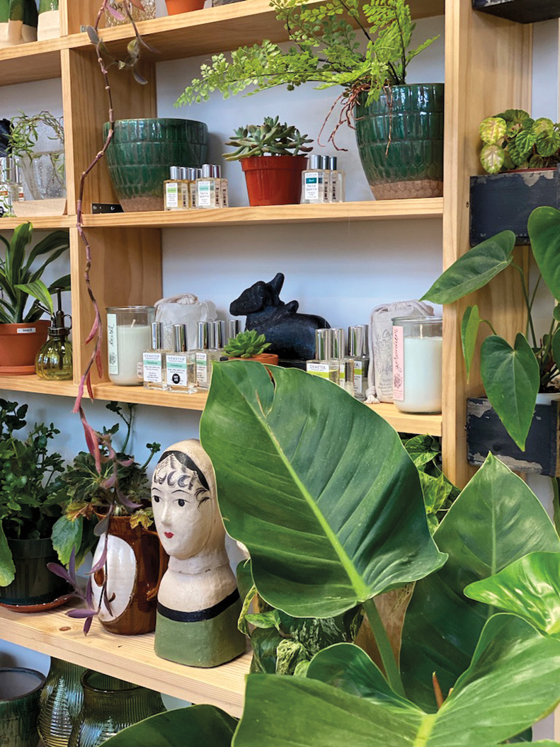 Wood shelves filled with plants, sculptures, candles and perfume.
