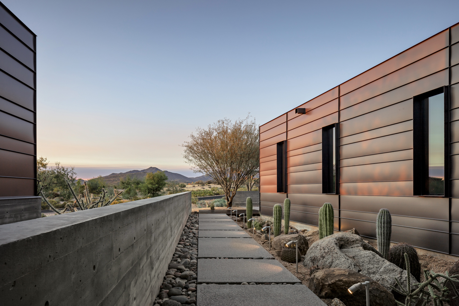 A walkway alongside a metal-clad house. There are cacti lining the walkway.