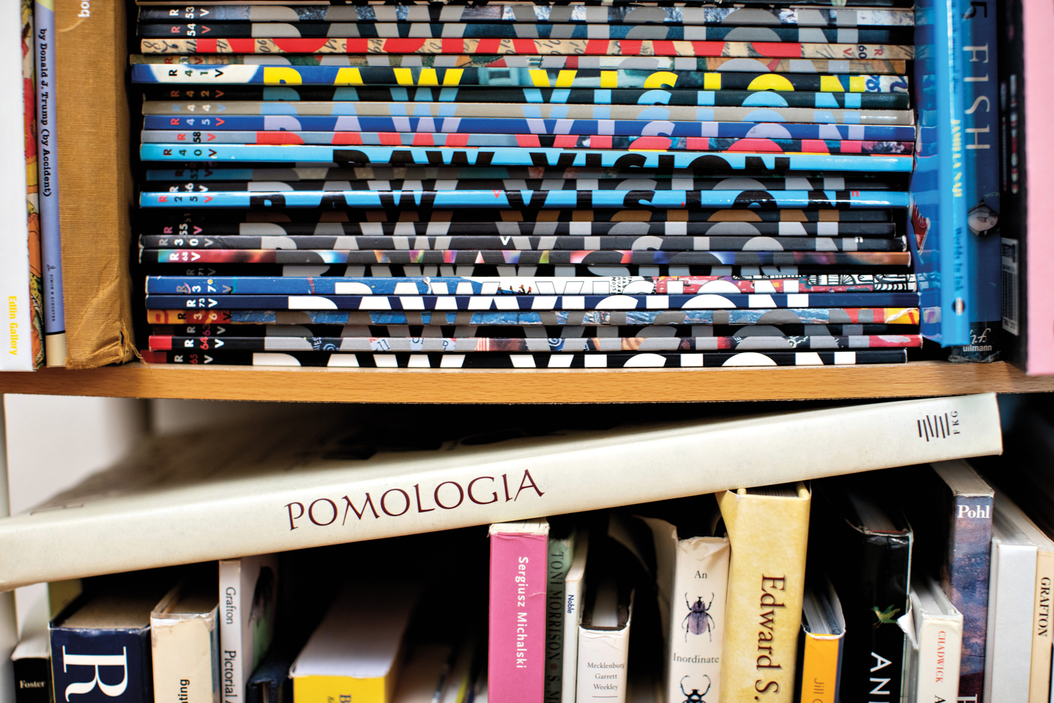 A book shelf piled with magazines on the top shelf and books on the bottom shelf.