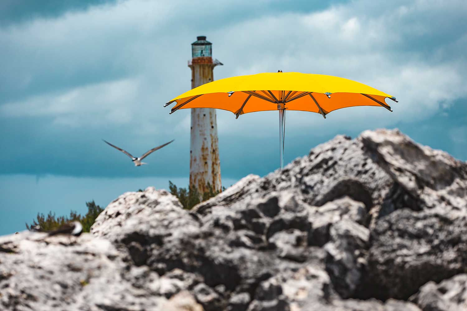 tucci gold list umbrella lighthouse