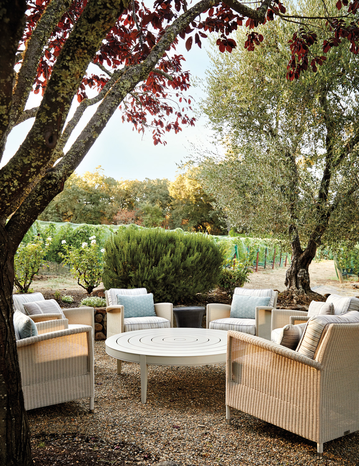 An outdoor sitting area overlooks a vineyard.