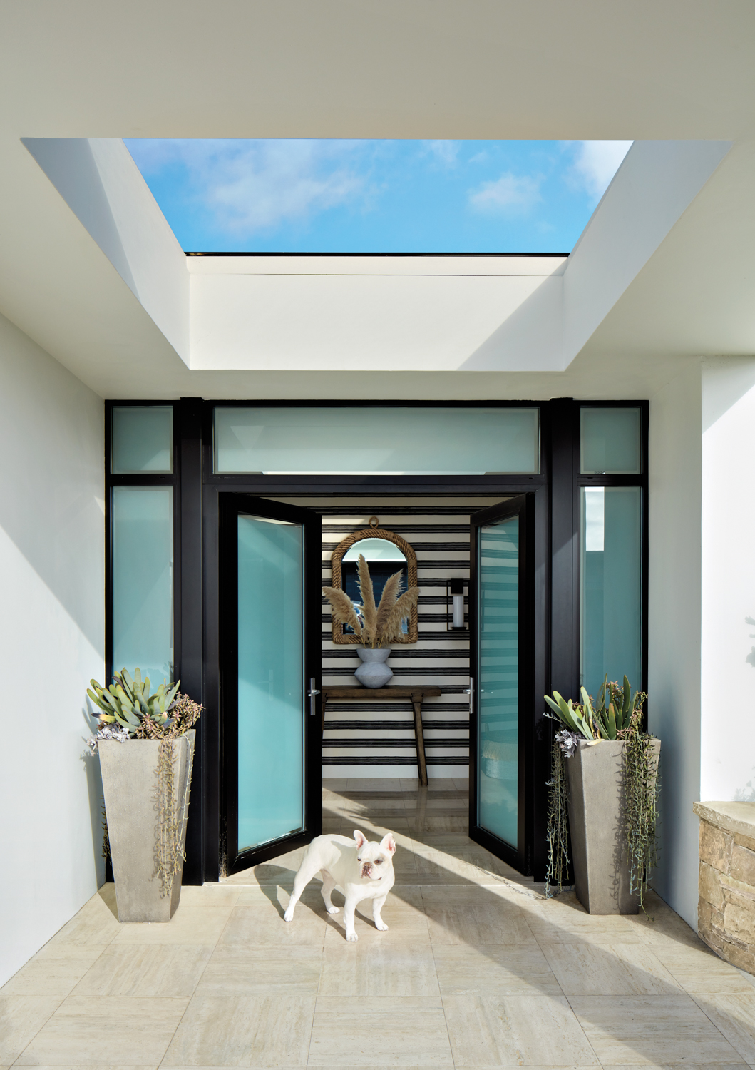 bulldog posing outside blue front double doors open to reveal striped wallpaper and a jute wrapped mirror
