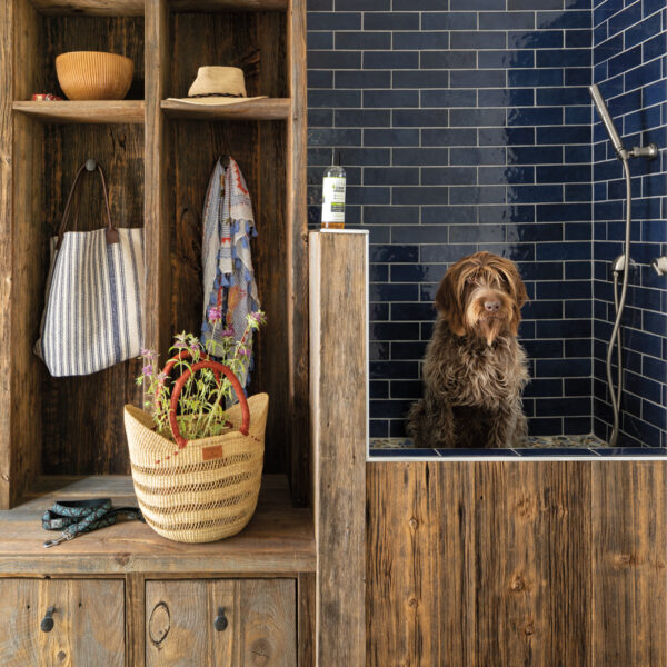 Inside An Eclectic Denver Home With A Pup-Friendly Mudroom