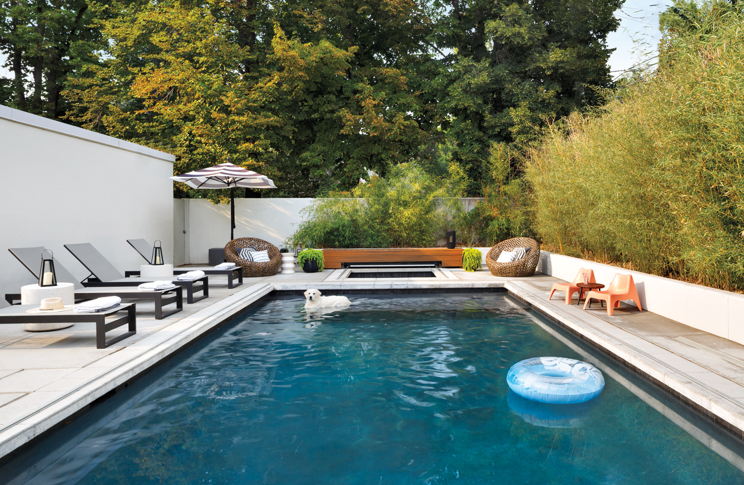 backyard pool and hot tub...