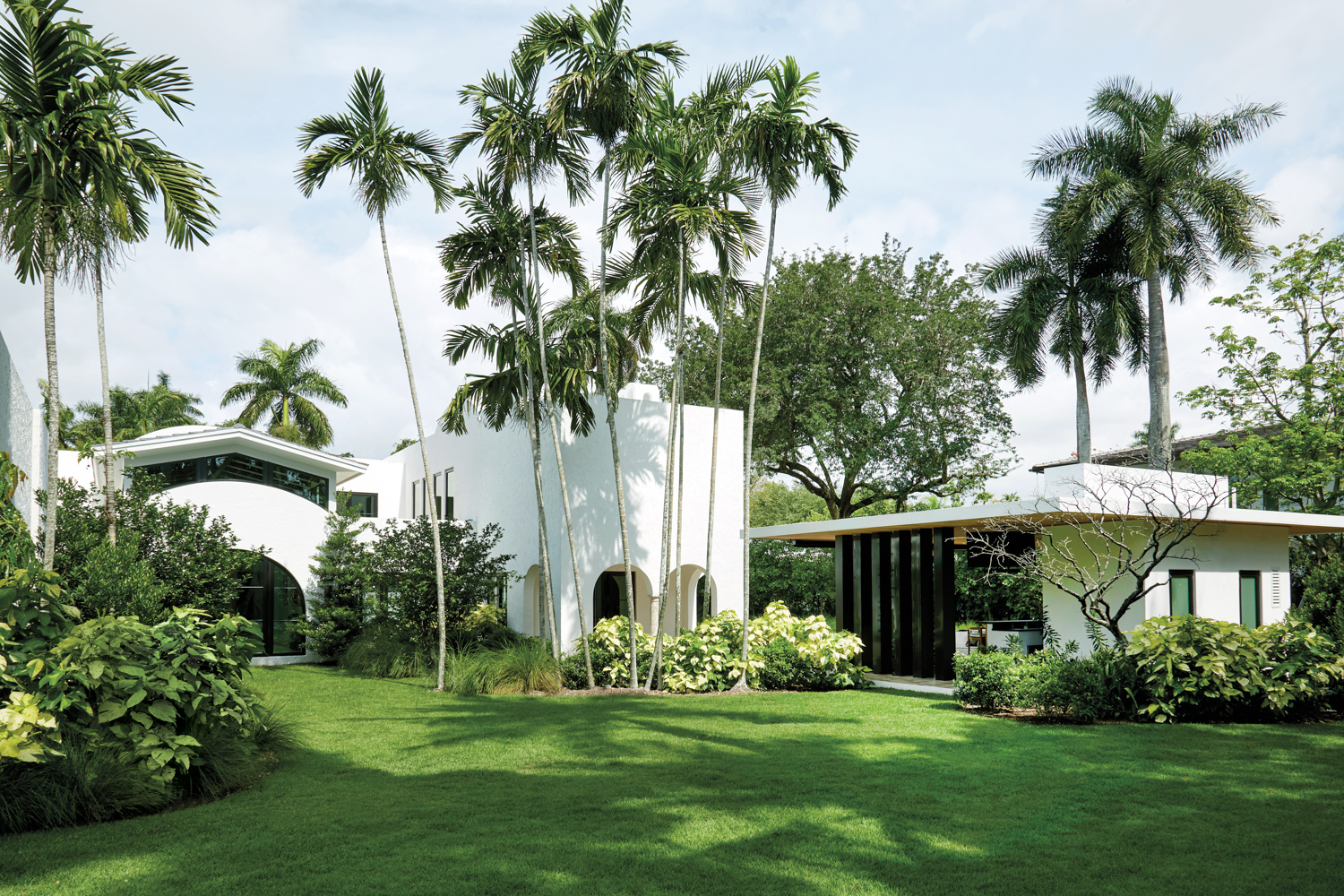 front exterior of white house with tropical palm trees serve as garden inspiration