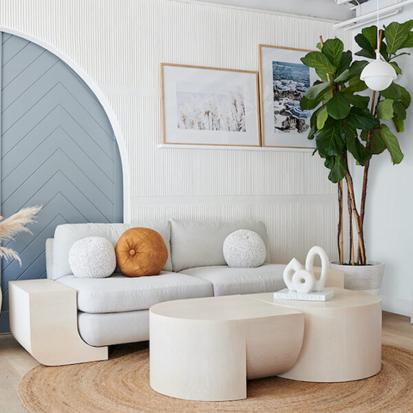 Custom furniture in California living room with Interior Design by Noelle Interiors