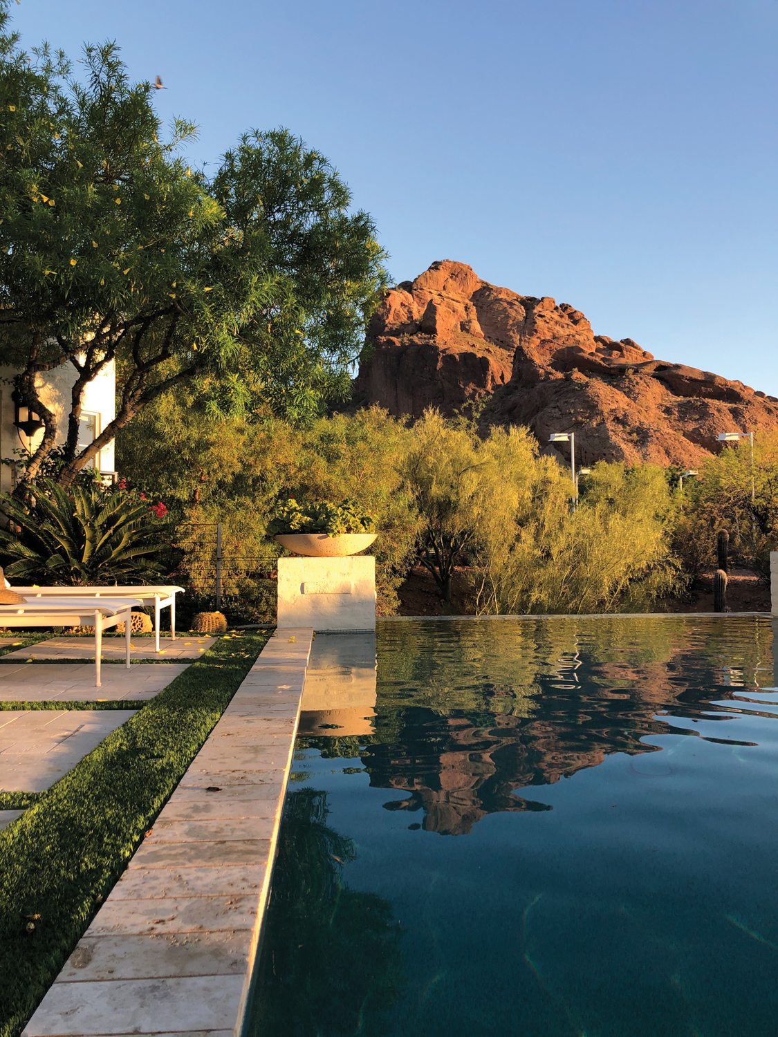 Pool overlooking desert mountains and greenery.