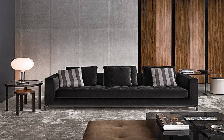 Dark, sleek sofa with patterned throw pillows.