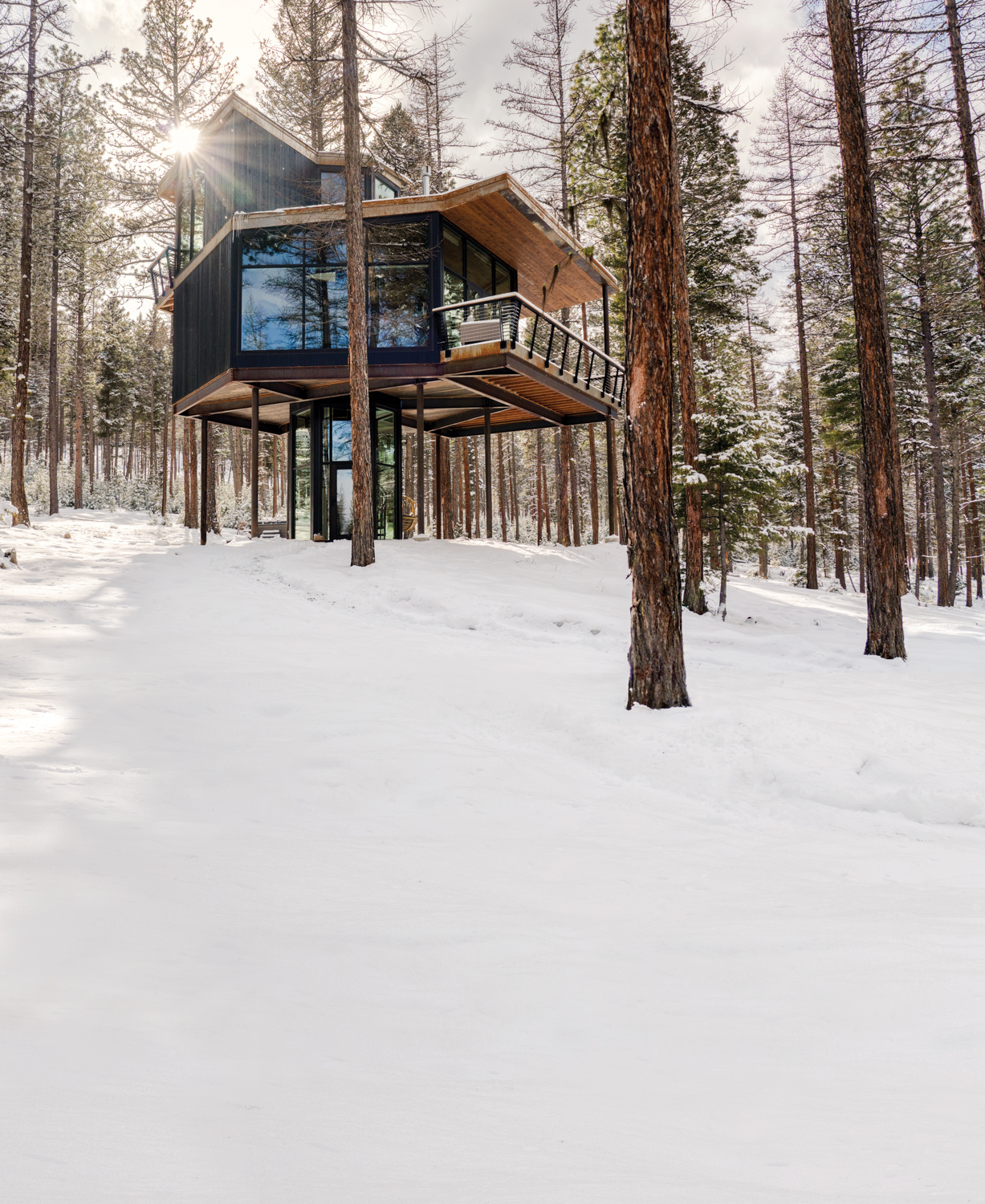 glass-boxed villa on stilts in Montana forest 