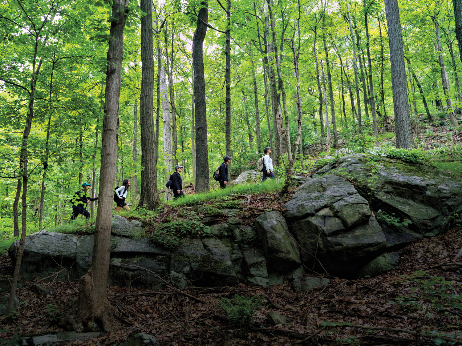 hikers in forest at the ranch in hudson valley