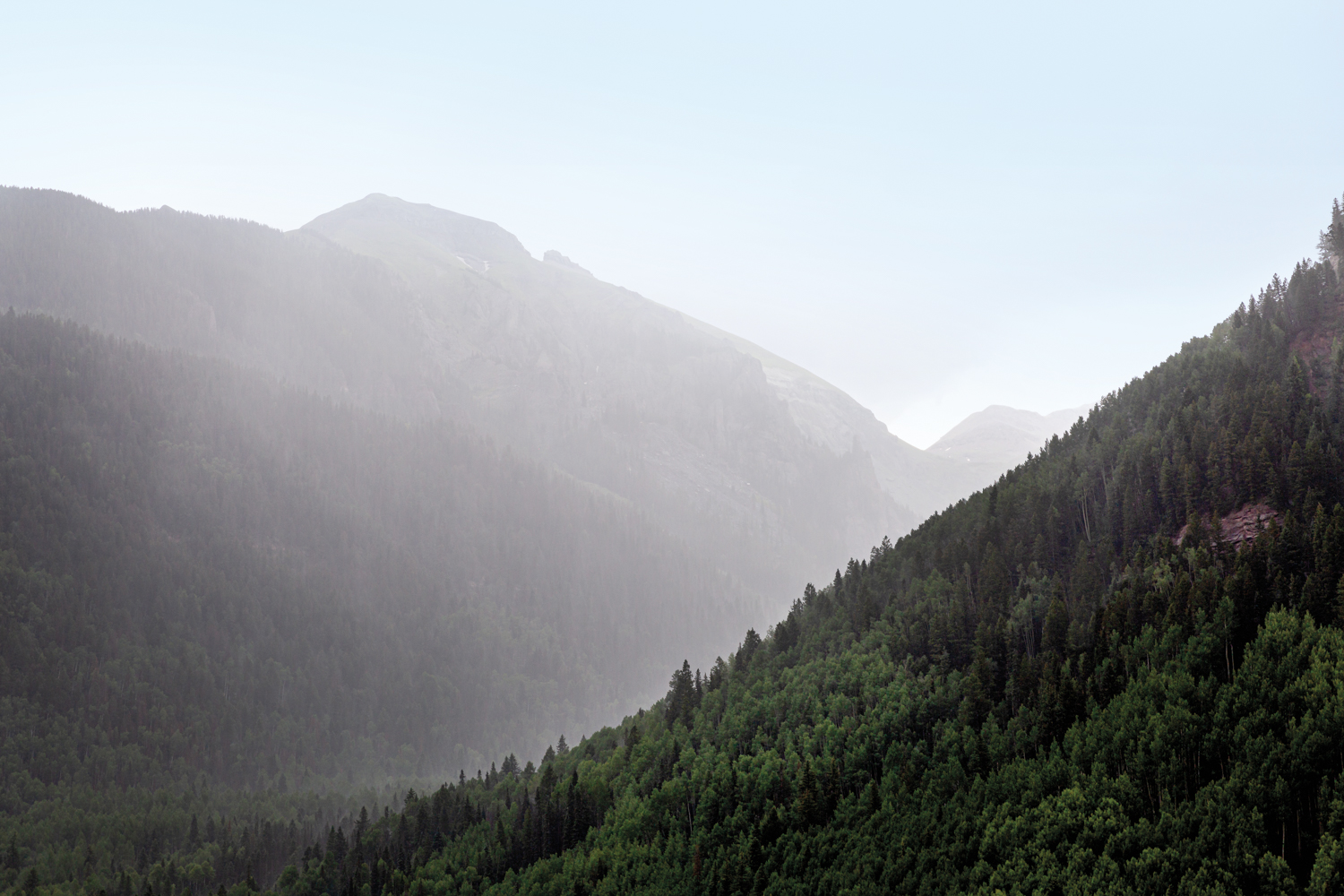 foggy forested mountainside at the reset resort in telluride colorado