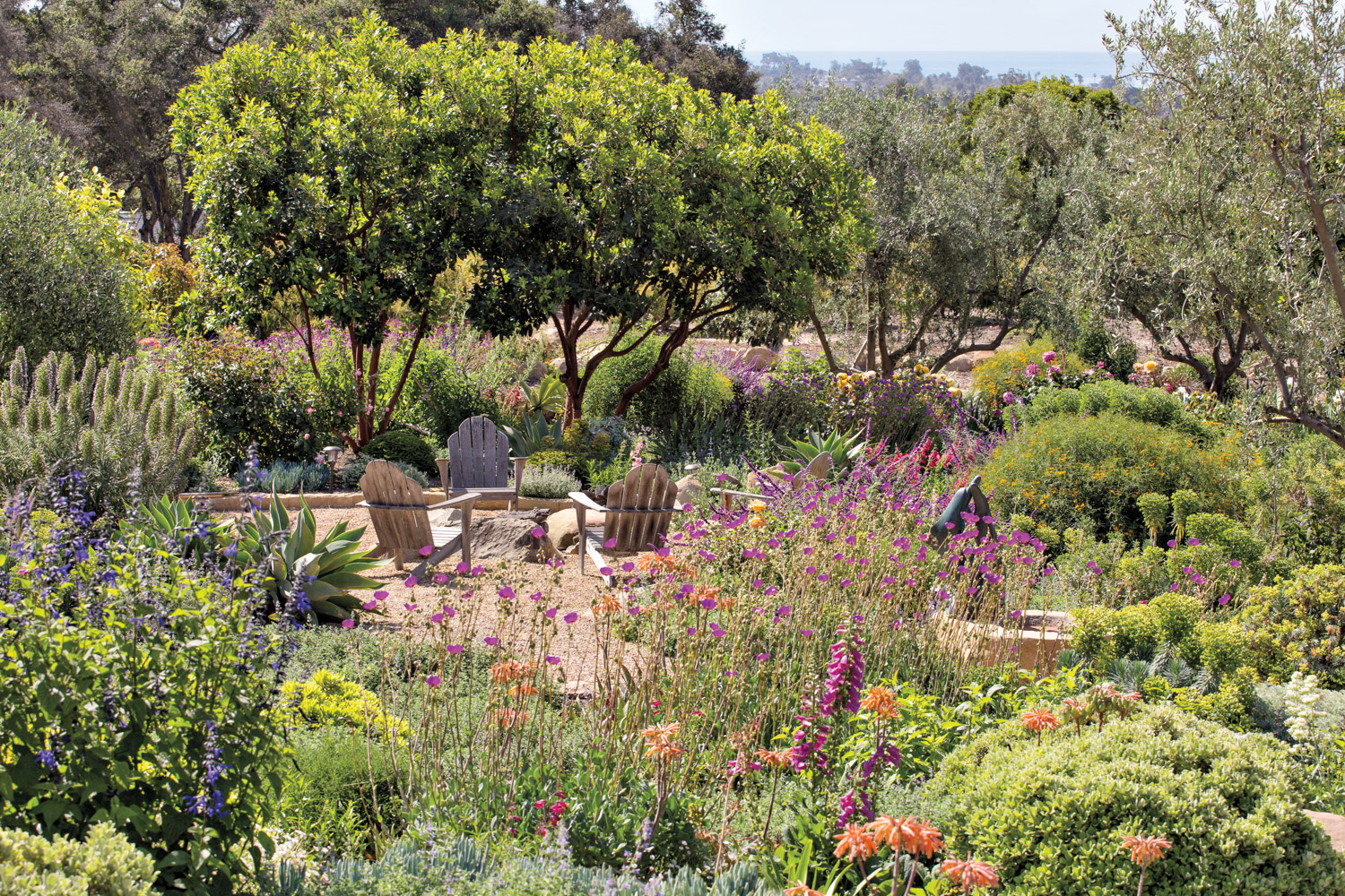garden with sustainable plants in Southern California