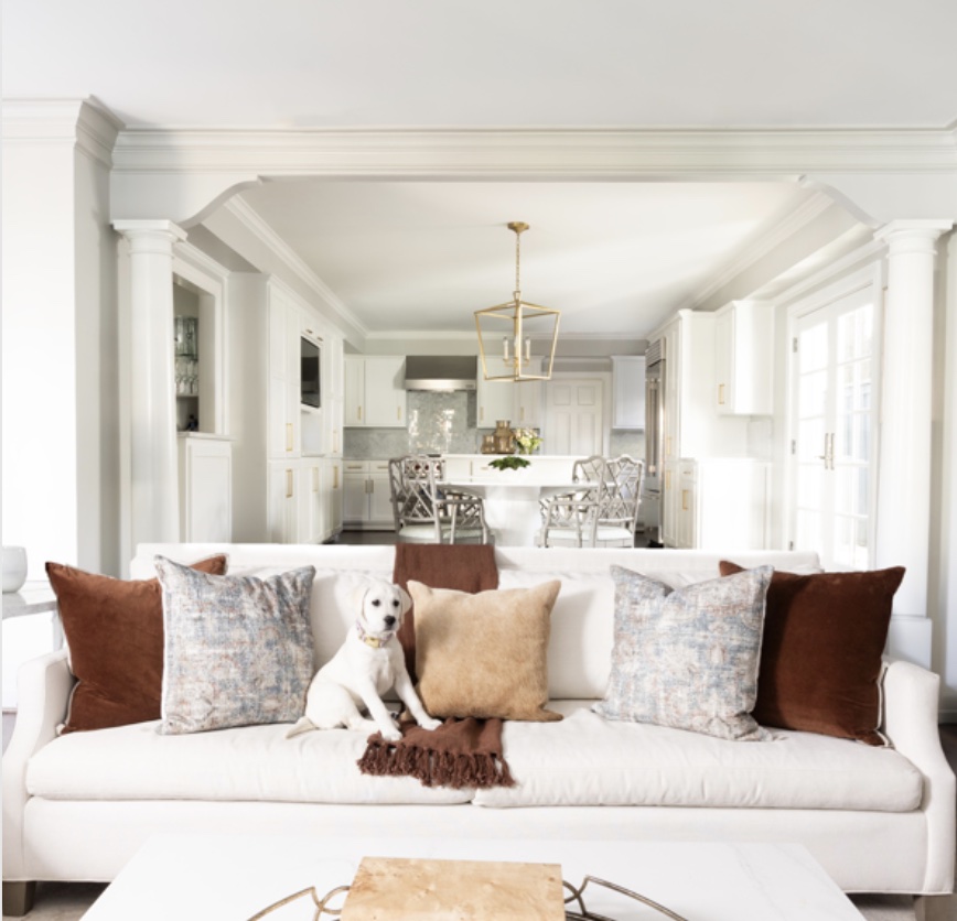 Stylish white couch with brown pillows and a dog, creating a cozy atmosphere for gatherings.