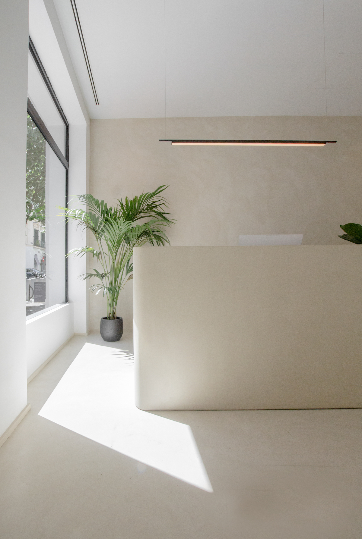 beige reception area with a large planter