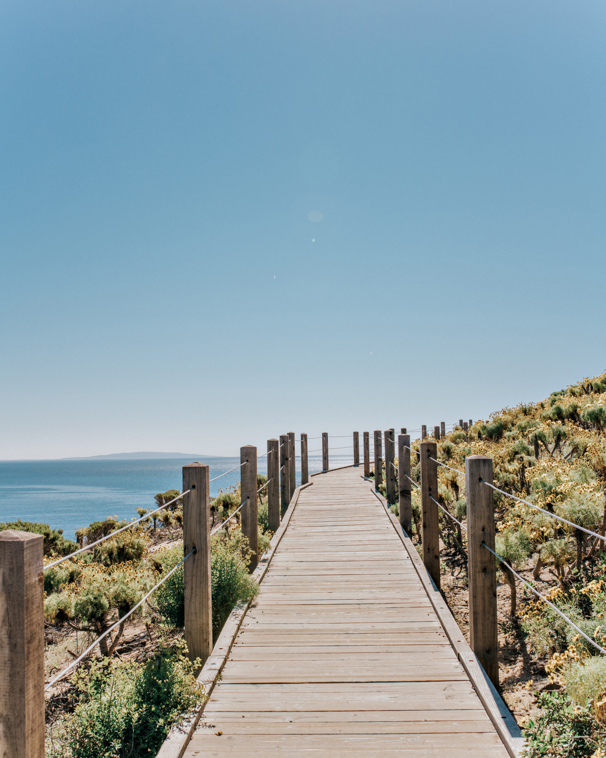 Narrow wooden boardwalk rounding a corner in the distance with the ocean beyond 