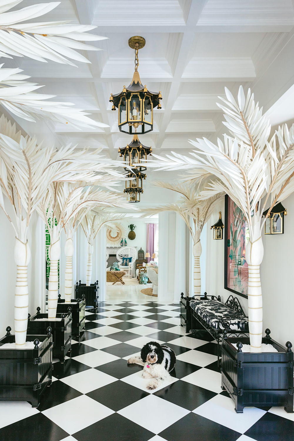 A dog lays on checkered hallway floor lined with white palms, and black-and-gold lights hang above