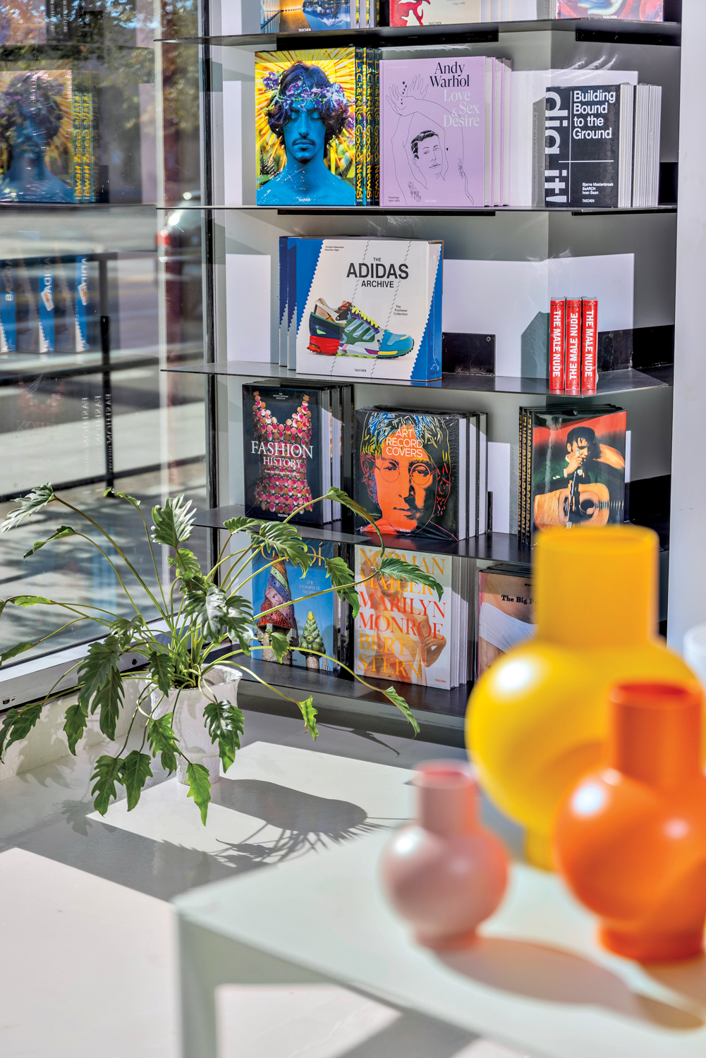 Books on display next to a plant and ceramic home goods inside Dialog shop
