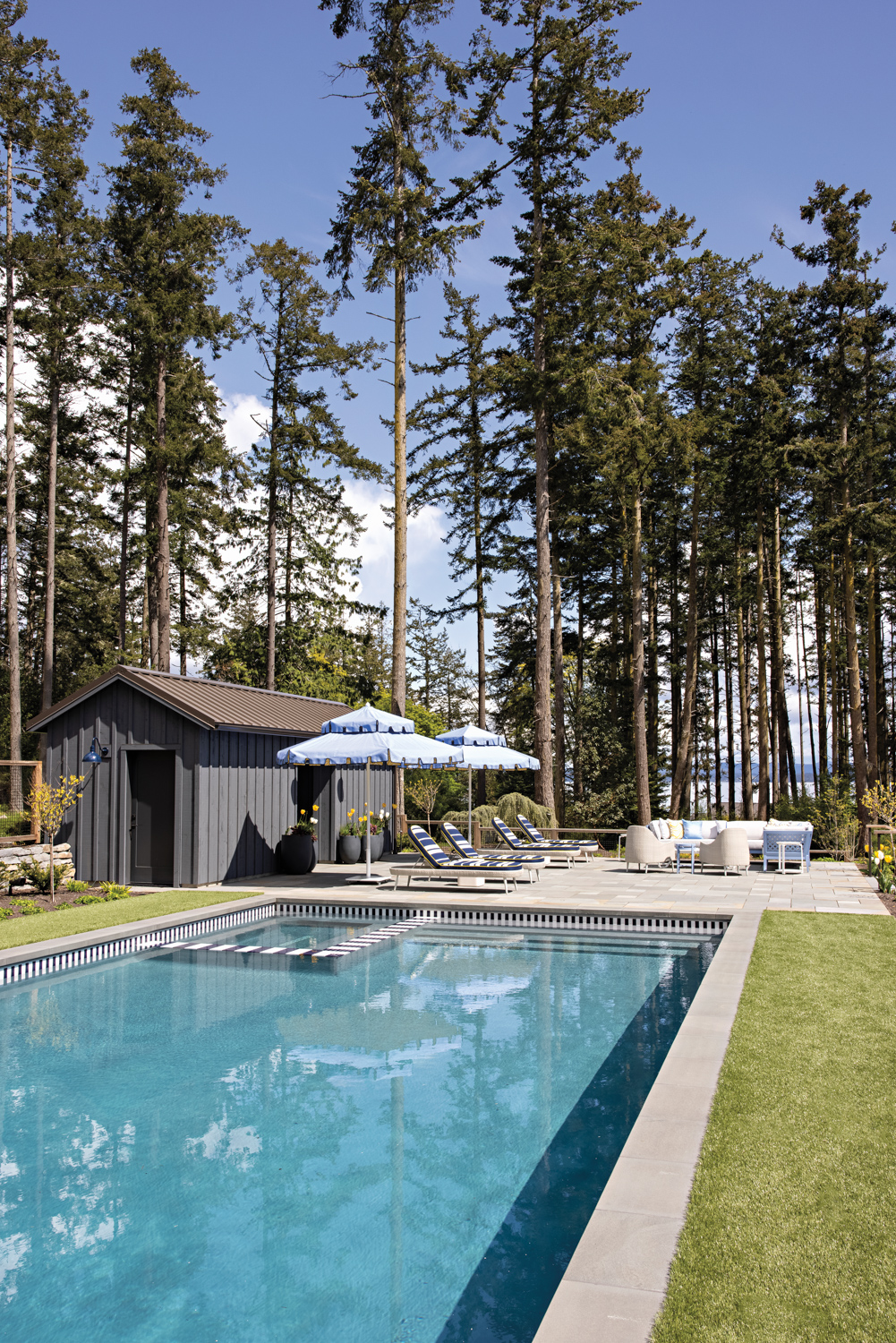 forest exterior of a pool house with tall redwood trees