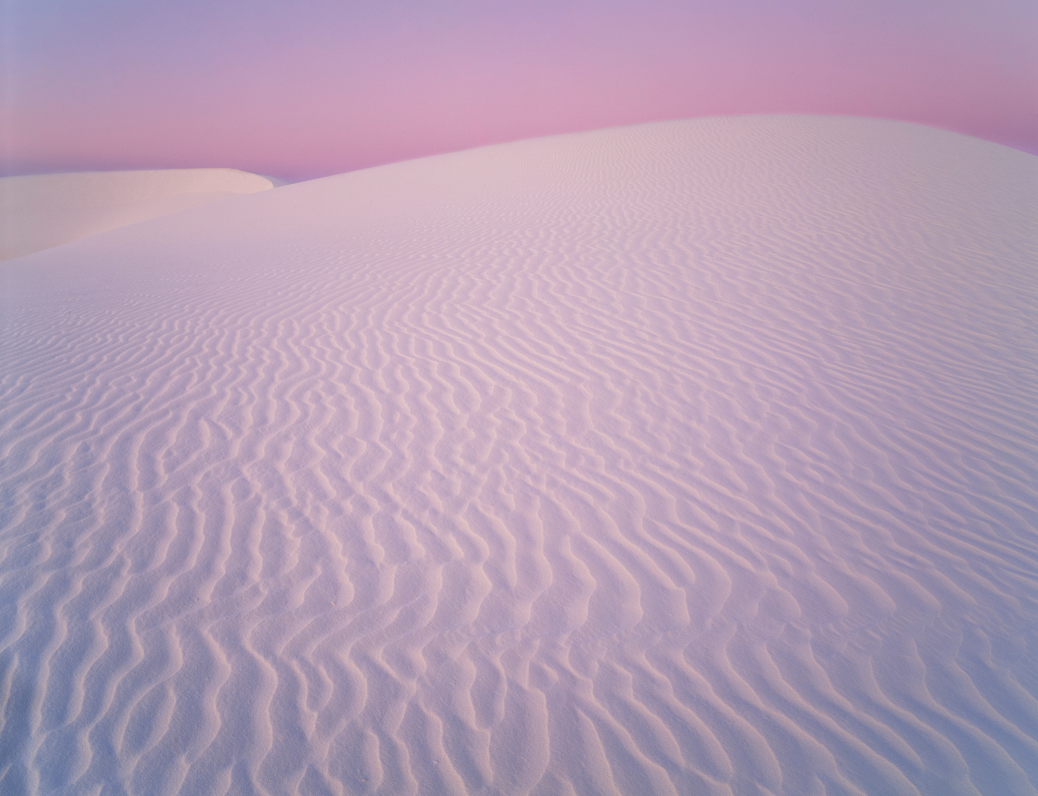 ethereal pink sand dunes against a pink sunset