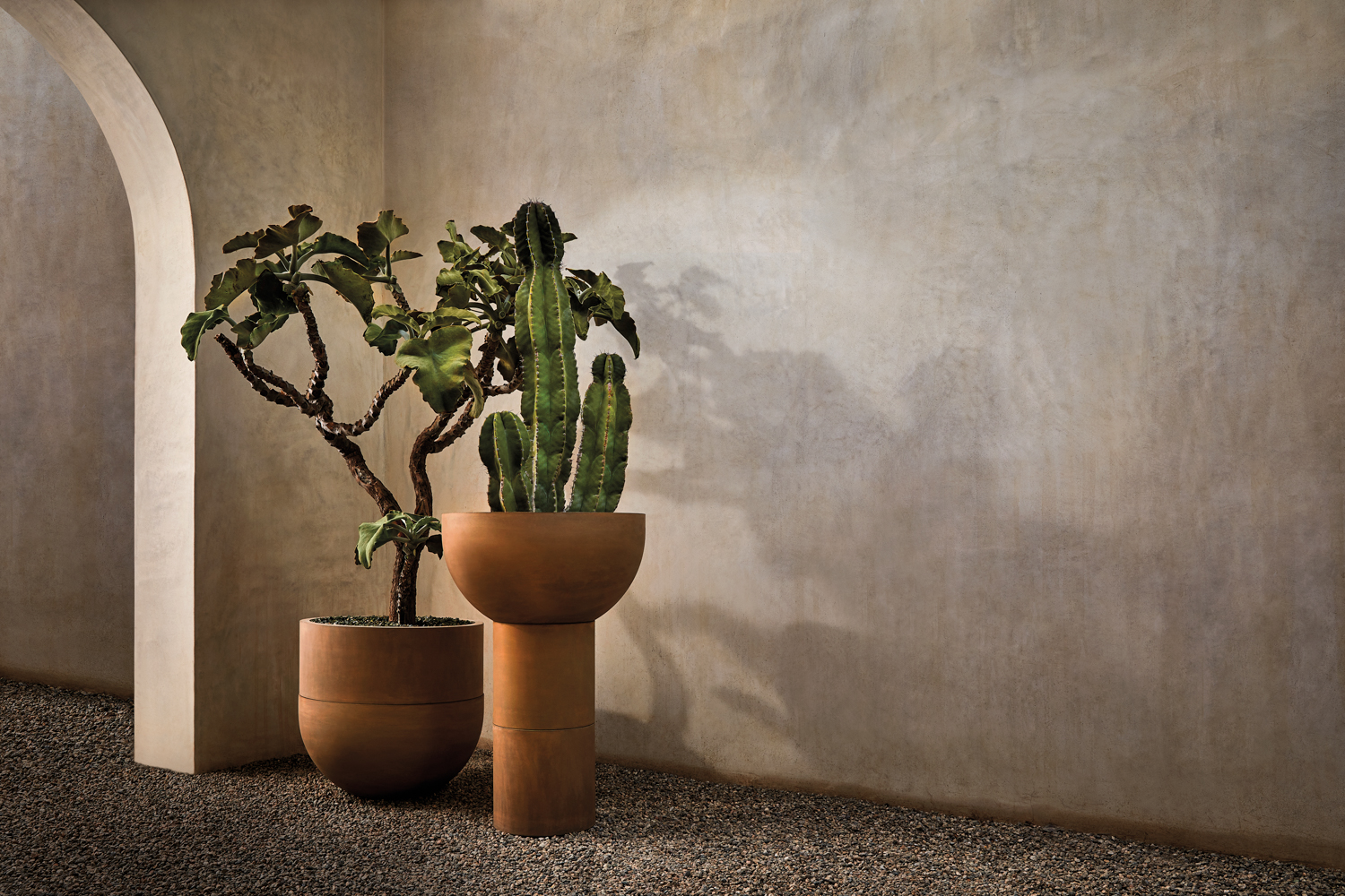 concrete planters with cactus in terracotta color