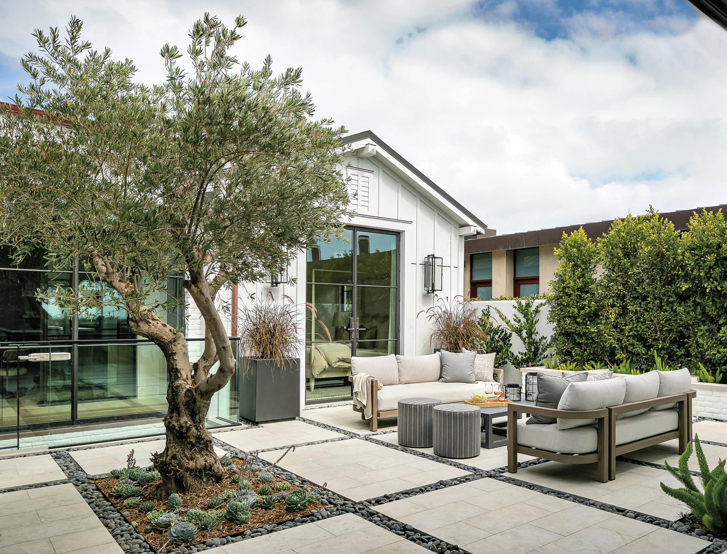 landscaped courtyard with olive tree surrounded by succulents, outdoor couches and ottomans