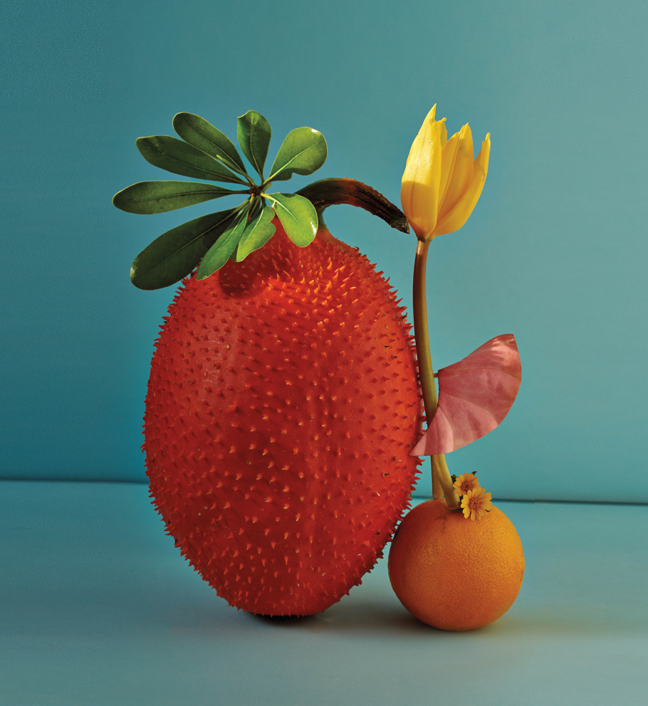 large strawberry, flower and orange against a blue background taken by Anastasia Kolesnichenko