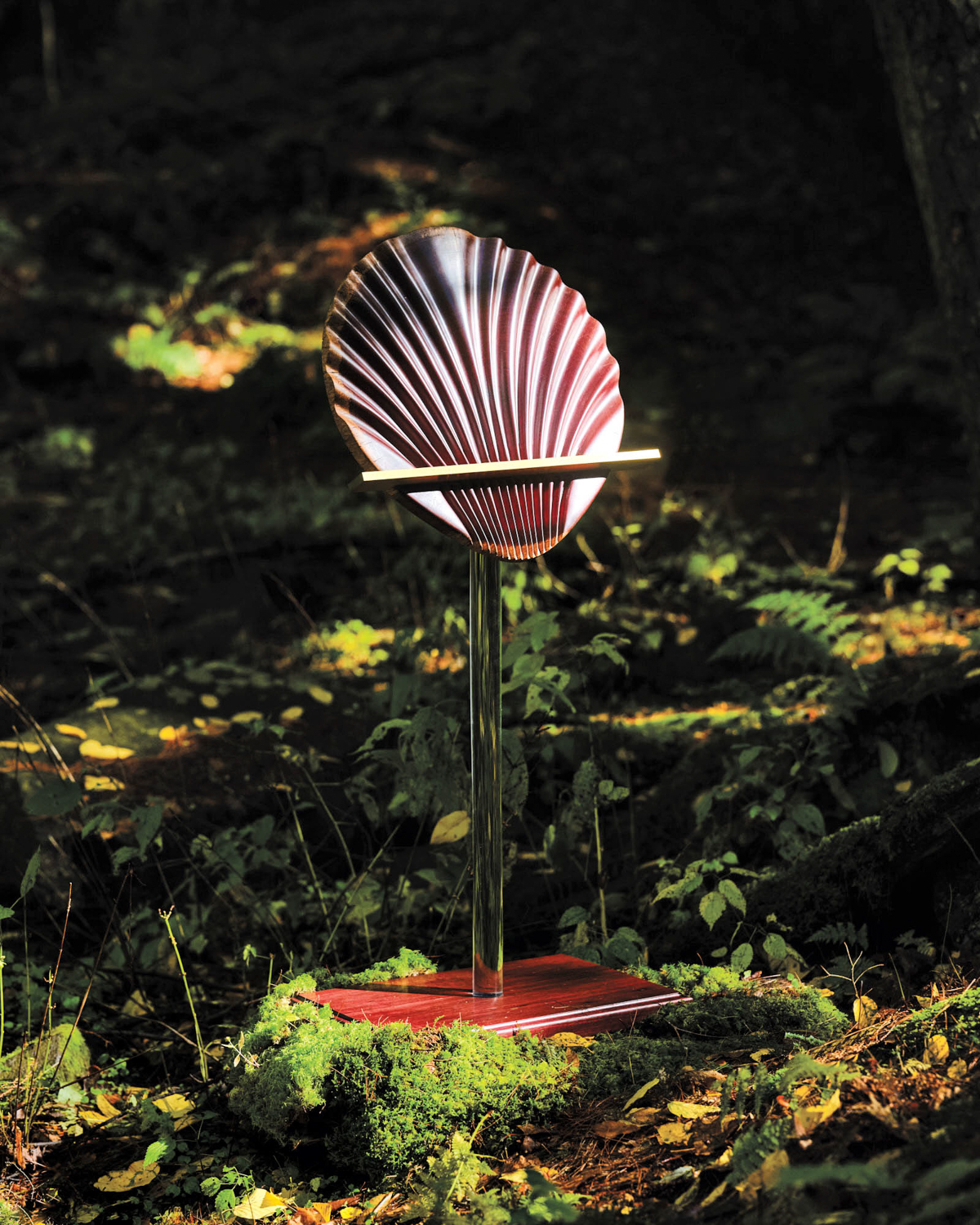 Tropical-wood shell-shaped music stand shot in the jungle