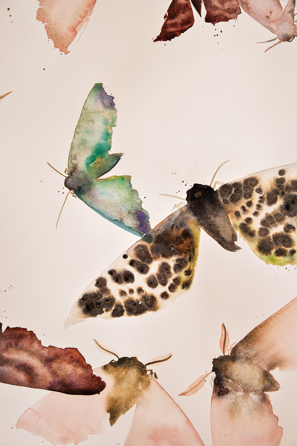 watercolor butterflies painting by Ellen Little