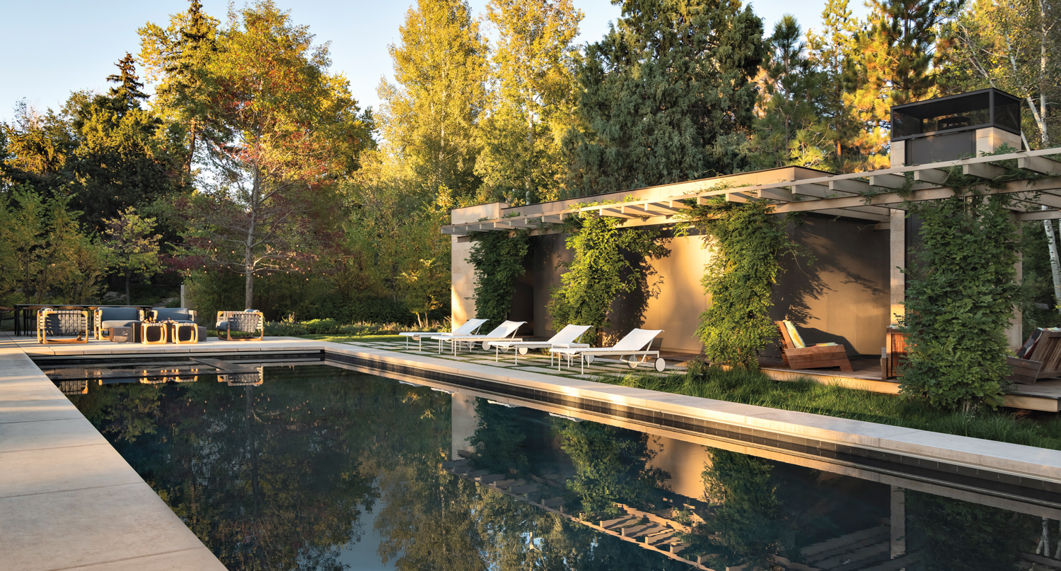 infinity-edge pool surrounded by vines,...
