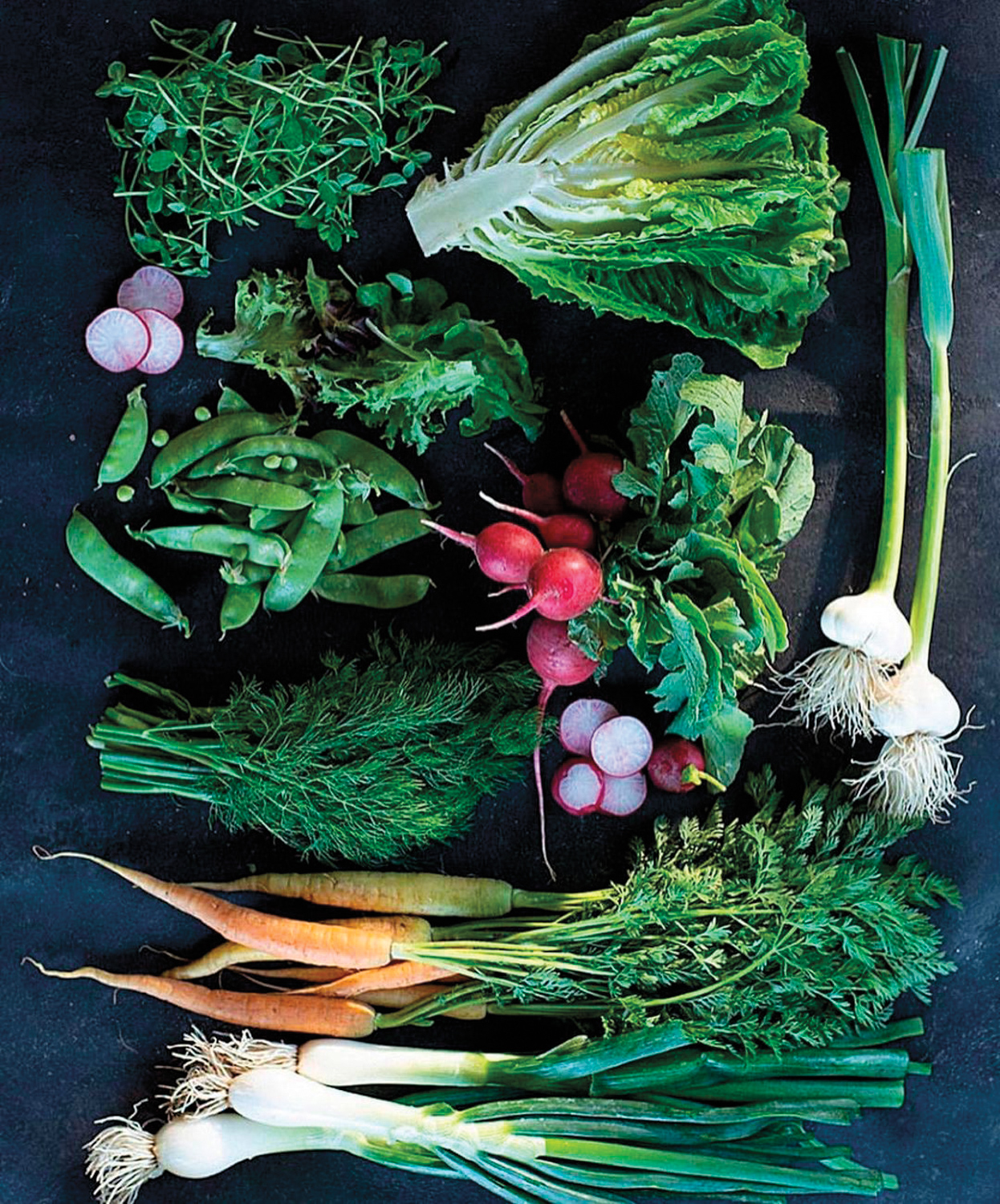 Bunches of carrots, leeks, radishes, peas, lettuce and other vegetables at Whipstone Farm