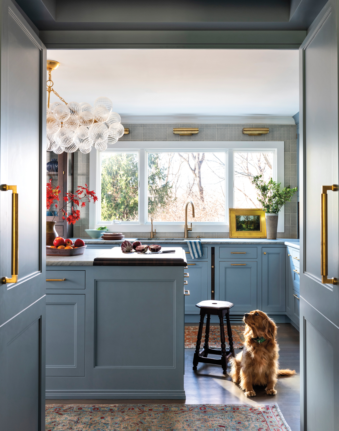blue kitchen with countertops, brown stool and sitting dog in by Sarah Robertson
